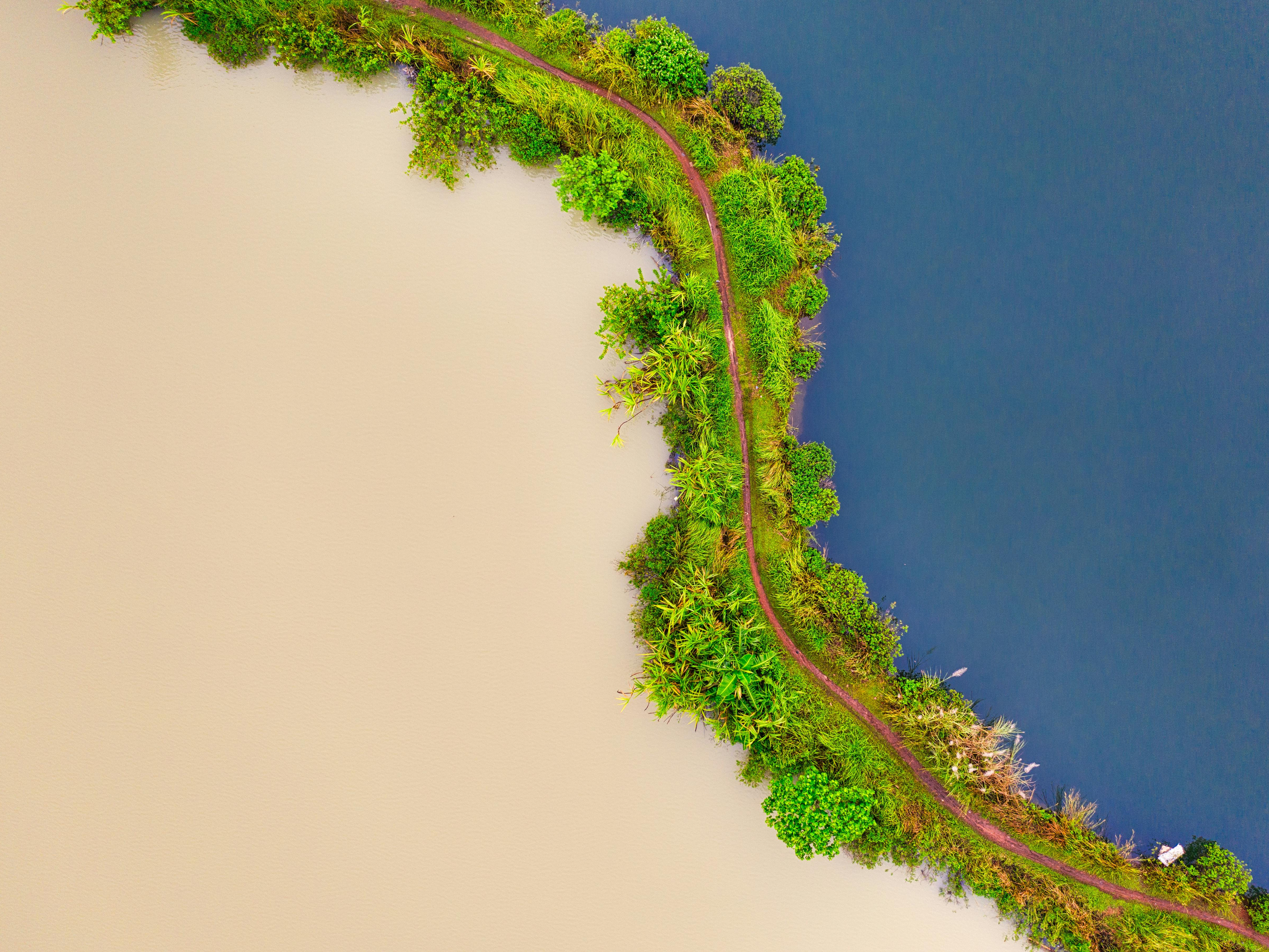 Vue aérienne forêt et rivière
